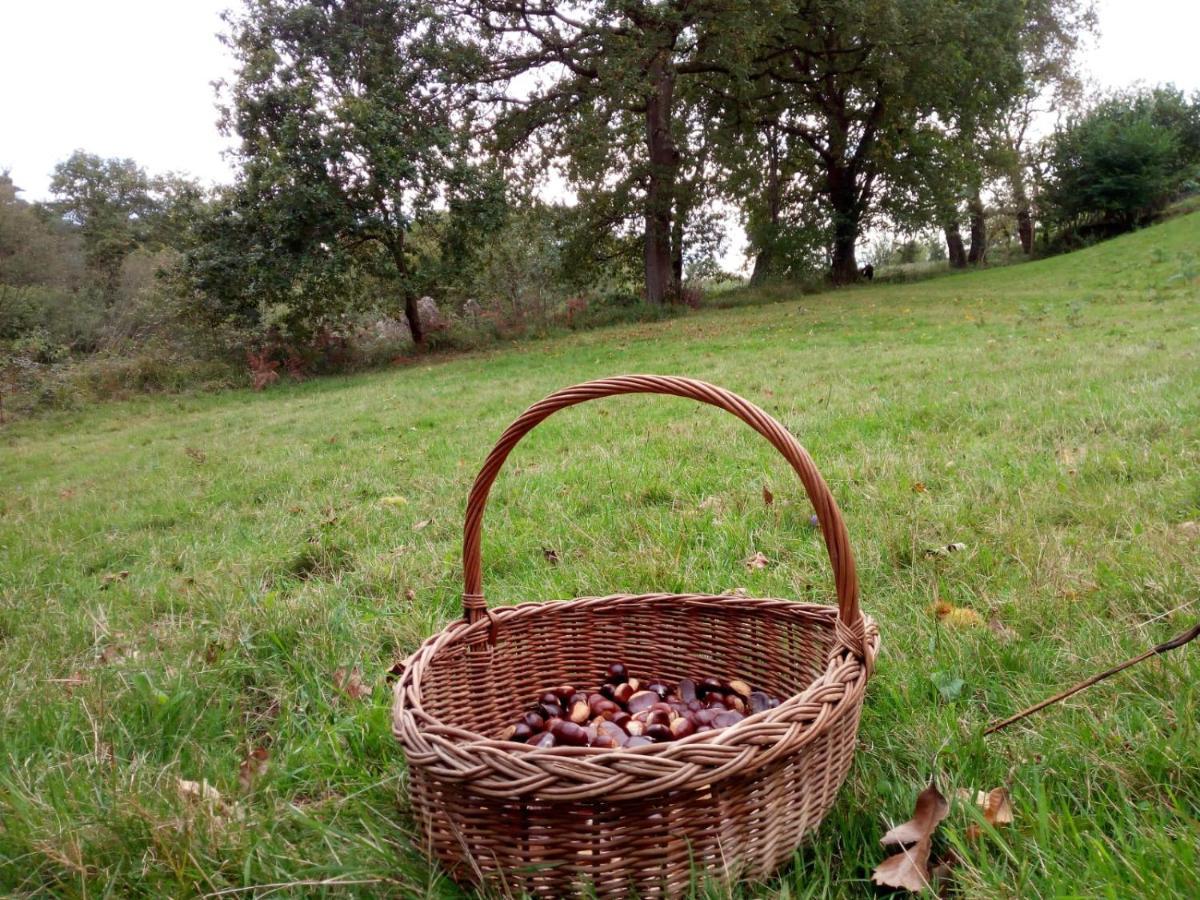 Casa Pepin - Sagasta Rural Oviedo Vendégház Kültér fotó