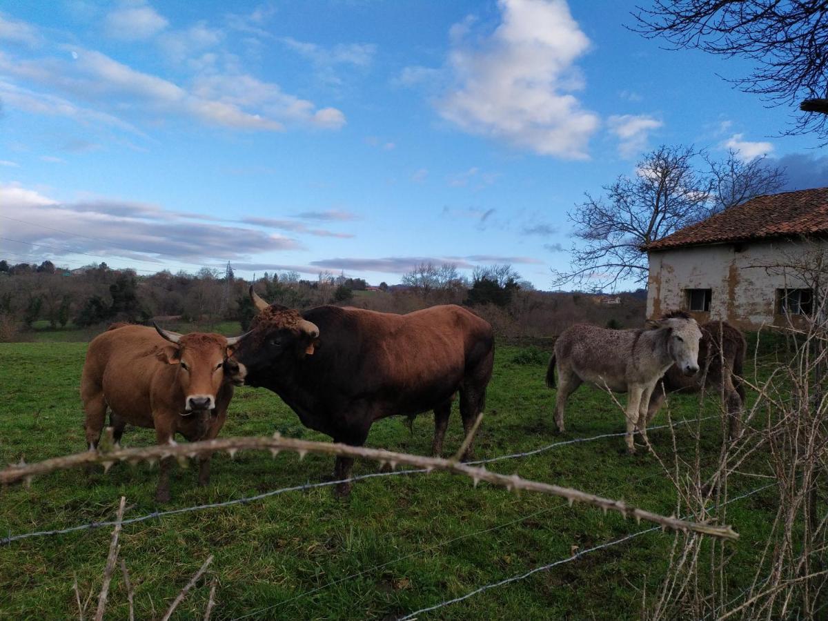 Casa Pepin - Sagasta Rural Oviedo Vendégház Kültér fotó