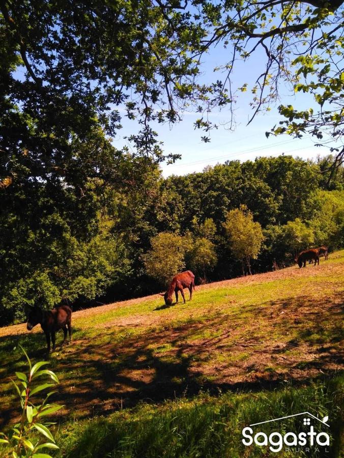 Casa Pepin - Sagasta Rural Oviedo Vendégház Kültér fotó