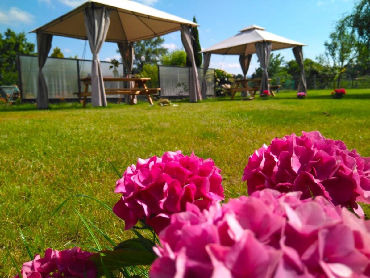 Casa Pepin - Sagasta Rural Oviedo Vendégház Kültér fotó